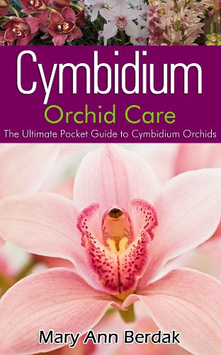 Cymbidium Orchid Care: The Ultimate Pocket Guide to Cymbidium Orchids