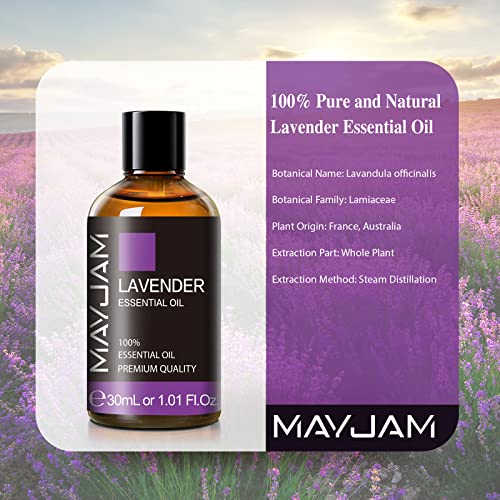 MAYJAM Lavender Essential Oil 1.01 fl.oz, Premium Quality Lavender Oil for Massage, Candle Making, Soap Making, 30ML/Bottle