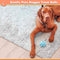 Zenify Puppy Toys Dog Toy Food Treat Interactive Puzzle Ball for Tooth Teething Chew Fetch Tennis Training Boredom Behaviour Dispensing Stimulation for Dogs & Puppies (Multi Pack Large)