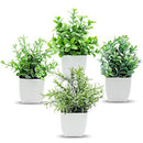 4 Pack Small Potted Fake Plants Artificial Eucalyptus Plants in Pots for Home Decor Faux Plant Indoor Frosted Plastic Planter for Office Bathroom Desk Room Greenery Decoration