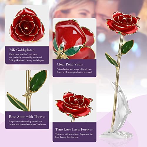 VIYNRAN Gold Dipped Rose, Viynran Long Stem 24k Gold Dipped Real Rose Lasted Forever with Stand, Best Romantic Anniversary Valentines Day Gifts