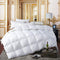 (King) - Egyptian Bedding All-Season King Size Luxury Siberian Goose Down Comforter Duvet Insert 750FP 1200 Thread Count 100% Egyptian Cotton (King, White Solid)