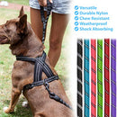 Zenify Pets Dog Lead - Durable Strong Chew Resistant Slip Lead Nylon Rope Padded Handle Mountain Climbing Harness Pet Puppy Training Slipknot Leash for Walking [1/2 inch 1.2cm Thick] (Black 4ft)