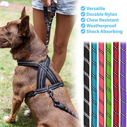 Zenify Pets Dog Lead - Durable Strong Chew Resistant Slip Lead Nylon Rope Padded Handle Mountain Climbing Harness Pet Puppy Training Slipknot Leash for Walking [1/2 inch 1.2cm Thick] (Black 4ft)