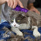 KONG - Cat ZoomGroom - Soft, Rubber Grooming and Massage Brush for Cats