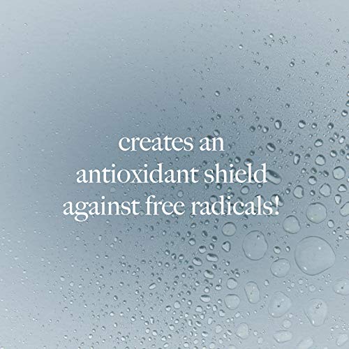 Dermalogica Age Smart Antioxidant Hydramist, 5.1 Ounce