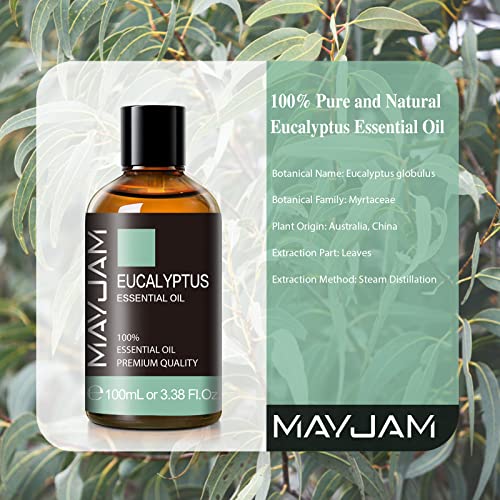 Eucalyptus Essential Oil, MAYJAM 3.38fl.oz Large Bottle Pure Essential Oils, Perfect for Living Room Bedroom Office Car Use