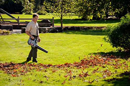 Oregon Cordless BL300 40V 151 MPH Leaf Blower with 4.0Ah Battery and Charger