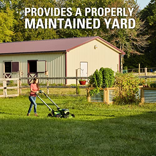 Greenworks Replacement Lawn Mower Blade (19" Mowers : 2501302, 2500502)