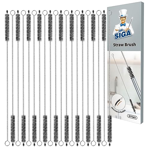 MR.SIGA Straw Cleaner Brush, 10 inch Stainless Steel Straw Brush with Hanging Hole, Pipe Cleaner Brush, 20 Pack