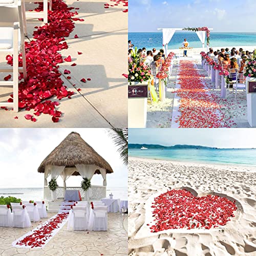 1000 pcs Artificial Silk Rose Petals for Romantic Propose Wedding Valentine's Day Anniversary Hen Party Engagement Party Decoration Flowers Confetti Fake Roses Petals (Red)