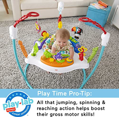 Fisher-Price Animal Activity Jumperoo, Blue, One Size, 1 Count (Pack of 1)