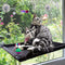 Cat Perch Cat Window Perch Window Cat Perch Hammock Cat Window Hammock Bed Cat Window Seat Kitty Window Sunny Seat Durable Big Pet Perch with Upgraded 4 Big Suction Cups Cat Bed Holds Up to 60lbs (Cat Perch, Black)