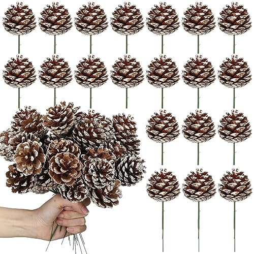 Jangostor 120 PCS Pine Cones Decorations, Natural Pine Cones Bulk - Mini  Pine Cones Christmas Pine Cones for Table Christmas Tree Crafts Gifts