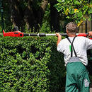 SHOGUN Pole Hedge Trimmer Cordless Electric Extendable Long Reach Telescopic Handle Garden Tool Fast Charger 20V