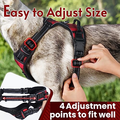 rabbitgoo Dog Harness No Pull, Adjustable Dog Walking Chest Harness with 2 Leash Clips, Comfort Padded Dog Vest Harness with Easy Handle, Reflective Front Body Harness for Large Breeds, Plaid, L