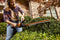 WORX WG261 20V Power Share 22" Cordless Hedge Trimmer (Battery & Charger Included)