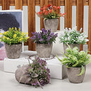 Artigreen 6 Pieces Mini Potted Artificial Plants, Plastic Mini Plant, Fake Potted Green Flower, Suitable for Office Desk Coffee Table Bathroom Bedroom Home Decorations.