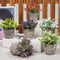 Artigreen Mini Artificial Plants Potted 6 Pcs,Fake Potted Green Flower, Suitable for Office Desk Coffee Table Bathroom Bedroom Home Decorations
