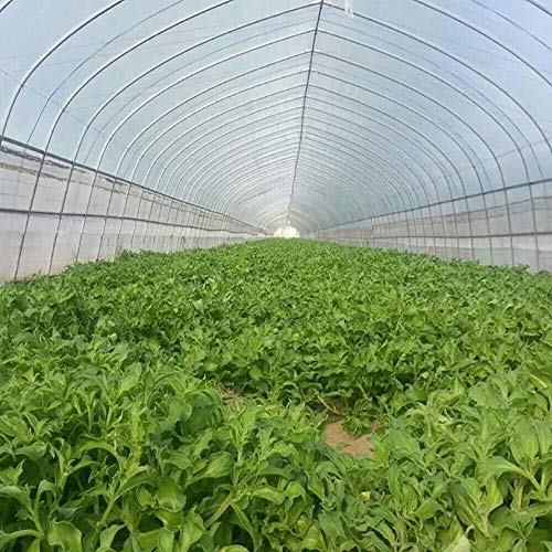 6/10M Garden Netting Crops Plant Protect Mesh Bird Net Insect Animal Vegetables (10 x 2.5 Meters)