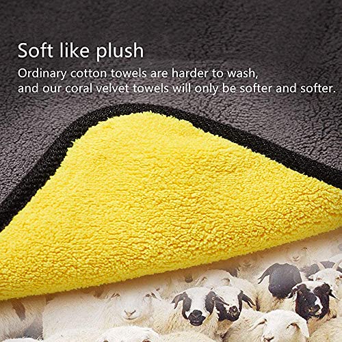 5 PCS Car Professional Cleaning Cloths,Double Layer Super Thick Microfiber Cleaning Cloth for Car Wash Buffing Wax Polishing and Drying- Multipurpose Household Cleaning and Car Washing Premium Towels