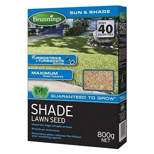 Brunnings Shade Lawn Seed 800 g