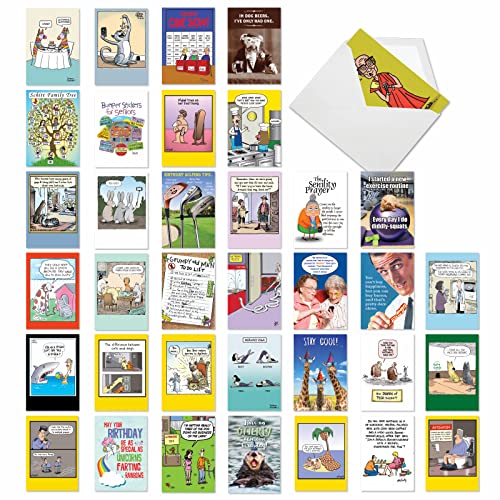 Birthday Bestsellers - 36 Assorted Boxed Birthday Cards with Envelopes (4.63 x 6.75 Inch) - Compiling numerous top-selling cards in our line AC2911BDG-B1x36