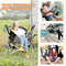 KingCamp Hammock Camping Chair Swinging Rocking Chair for Adults Lawn Beach Camp Outside Portable Folding Chair Hold Up to 300lbs with Adjustable Back Support Carrying Bag Cup Holder (Grey/Black)