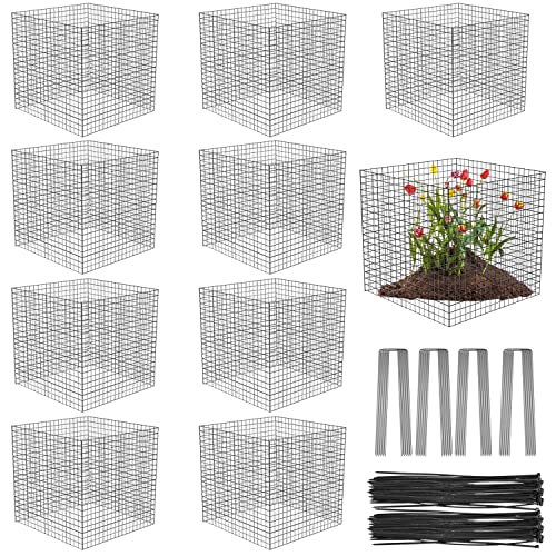 10 Pack Wire Plant Protectors Square Wire Plant Cages Mesh Plant Cage Chicken Wire Cloche with 40 Ground Stakes and 200 Nylon Ties Protect Plants, Garden,Shrubs and Vegetables from Animals, 12x12 inch