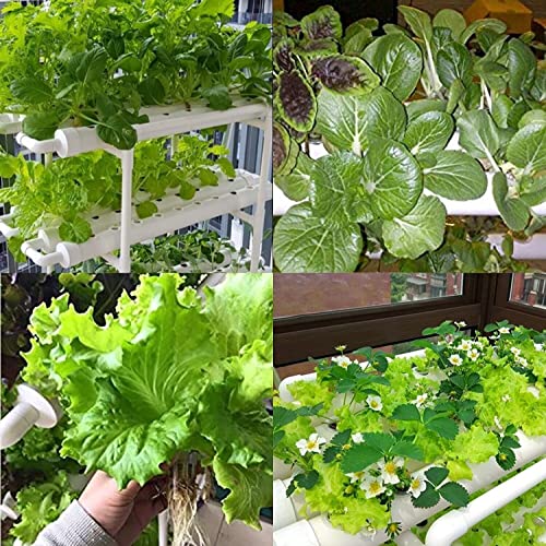 108 Plant Sites Hydroponic Grow Tool Kit Vegetable Garden Hydroponic Grow System