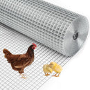 Hardware Cloth 1/2 Inch - Galvanized Chicken Wire Mesh Fencing 19 Gauge Square Hardwire Cloth for Chicken Pen/Coop Fences Raised Garden Bed Small Rodents（16inx10ft）