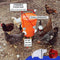 Chicken Feeder Poultry Pro Feeder DIY Port PVC Gravity Fed Chicken Feeder