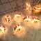 Christmas Santa String Lights - 1.5 Meters 10LED Christmas String Lights, 2AA Power Supply, Christmas Fairy Lights are Suitable for Indoor and Outdoor Christmas Party Decorations