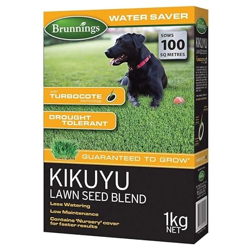 Brunning Kikuyu Lawn Seed Blend 1 kg, Brown