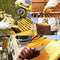 Beekeeping Supplies 22 Pieces Frame Holder Beekeeping Kit,Beekeeping Tools Bee Keeping Supplies-All Kit for Beginners and Professional Beekeepers