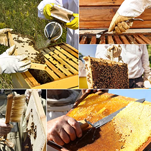 Beekeeping Supplies 22 Pieces Frame Holder Beekeeping Kit,Beekeeping Tools Bee Keeping Supplies-All Kit for Beginners and Professional Beekeepers