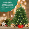 2ft Pre-Lit Artificial Christmas Tree, Majestic Fir with Small Lights and Cloth Bag Base, Ideal for Home, Office, and Party Decoration