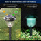 NEWMESSI Solar Pathway Lights Outdoor 8 Pack,RBG Color Changing IP65 Waterproof, Solar Garden Lights, Garden/Patio/Outdoor Decor, Rugged Design Super Brightness and All Night Lighting
