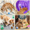 Qoosea 24PCS Cat Toys Set Interactive Kitten Toys for Indoor Cats Catnip Toy Kitten Feather Wand Cat Tunnel, Cat Springs, Mice and Bells Toys, Cat Wand Toy for Cat Kitten