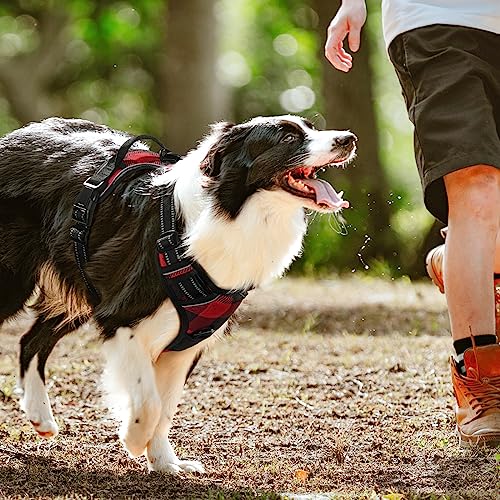 rabbitgoo Dog Harness No Pull, Adjustable Dog Walking Chest Harness with 2 Leash Clips, Comfort Padded Dog Vest Harness with Easy Handle, Reflective Front Body Harness for Large Breeds, Plaid, L