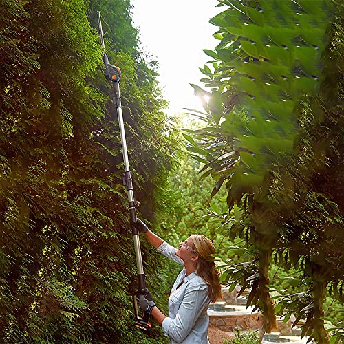 WORX 20V Cordless Pole Hedge Trimmer with POWERSHARE 2Ah Battery and Charger - WG252E