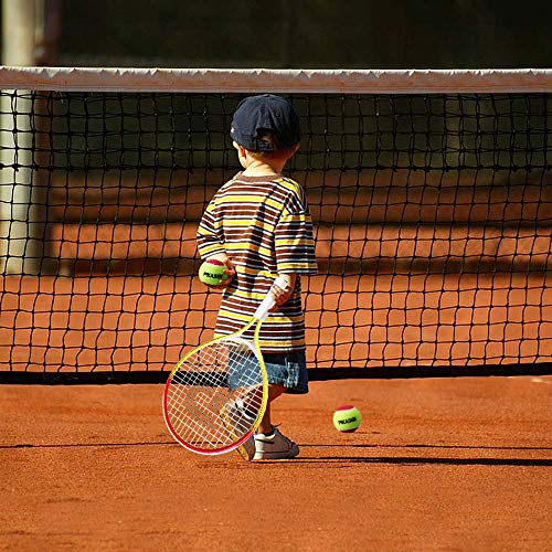 PIKASEN 17" Kids Tennis Racket Best Starter Kit for Kids Age 4 and Under with Shoulder Strap Bag and Mini Tennis Racket Toddler Tennis Raquet (Yellow)