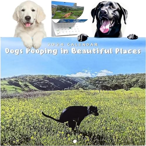 ZKAYX Wall Calendar 2024, Dogs Pooping In Beautiful Places 2024 Calendars January from December for Dog Lovers, Monthly Calendar Planner for Home, Hostel