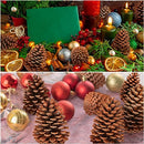 Huwena 12 Pcs PineCones Large Natural Unscented Pine Cones Bulk Rustic Christmas Tree Ornaments Decorative No Chemicals for Crafts DIY Wreath Home Wedding Decoration (5-6 Inches)