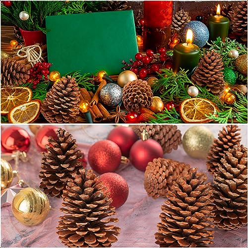 Huwena 12 Pcs PineCones Large Natural Unscented Pine Cones Bulk Rustic Christmas Tree Ornaments Decorative No Chemicals for Crafts DIY Wreath Home Wedding Decoration (5-6 Inches)