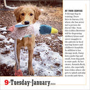 365 Dogs Page-A-Day Calendar 2024: The World's Favorite Dog Calendar