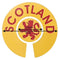 Acclaim Jumbo 6 cm 1 x Scotland Rampant Lion Yellow Red 1 x Scotland Thistle Blue Gold Lawn Bowls Identification Stickers Markers 2 Full Sets of 4 Self Adhesive