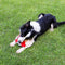 napojoy Dog Toys, Stuffed Dog Toys for Small Medium Large Dogs, Squeaky Dog Chew Toy with Crinkle Paper, Outdoor Puppy Toys Interactive Tough Plush Rope Toys Crab Shape