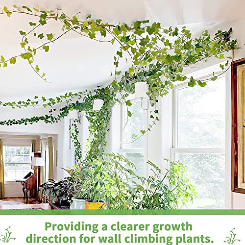 POATOW Plant Climbing Wall Fixture Clips 60 Pcs,Garden Vegetable Plant Support Binding Clip Invisible Wall Vines, Self-Adhesive Clips Plant Vine Traction for Indoor Outdoor Decoration