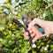 Gardena Garden S-XL Bypass Secateurs